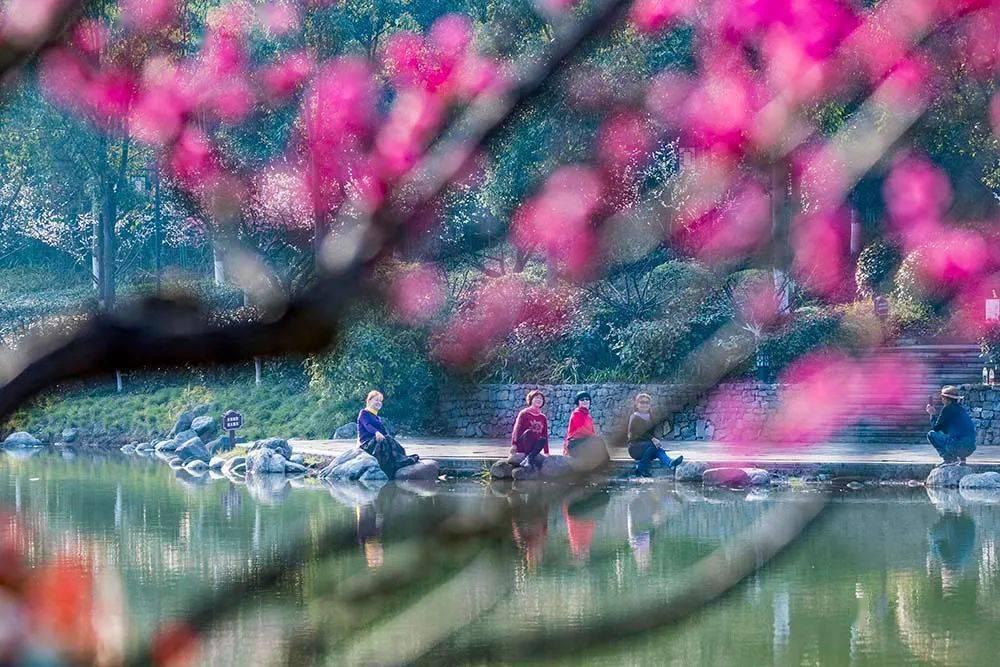 解惑蜗牛,探秘已经是本科学历还能再自考其他专业吗?问答平台