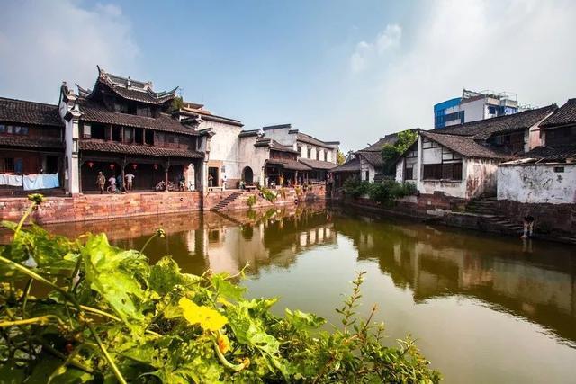 探索知识星球平台,尽在山西洪洞适合种植枸杞吗?