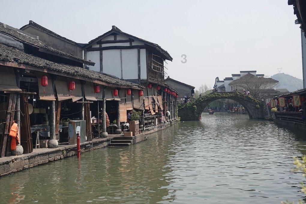 动物帮帮忙保卫家园